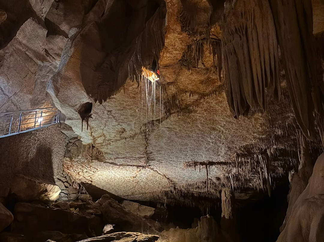 Grotte de la Cocalière-Courry必去景点