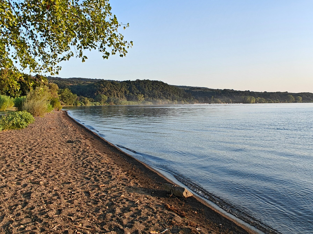 Lago di Bolsena-博尔塞纳必去景点