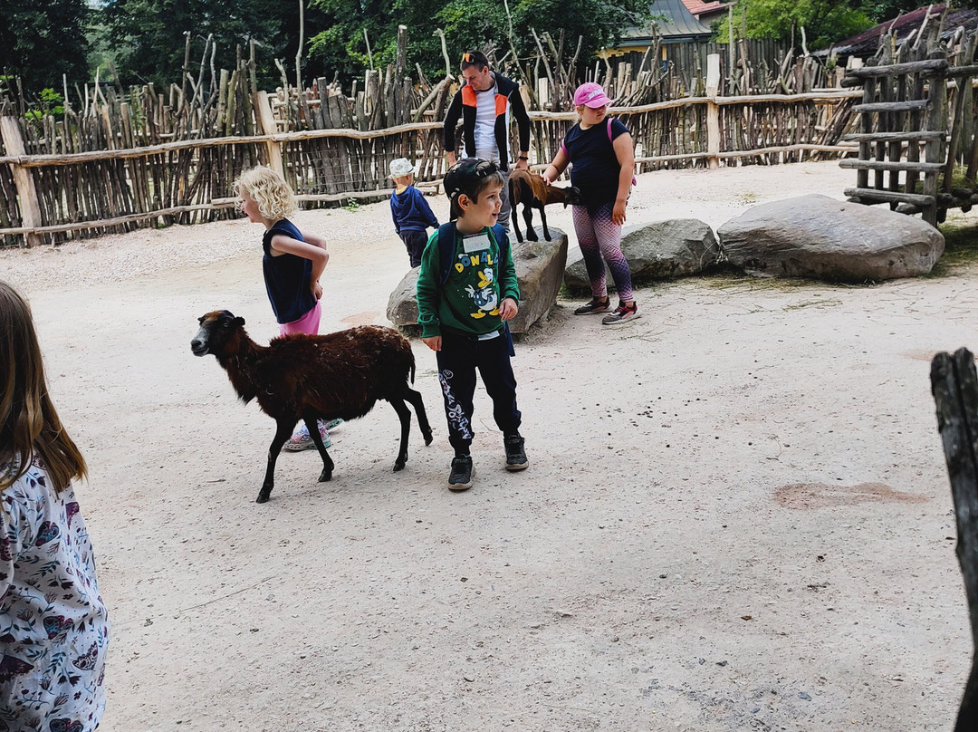 Safari Park Dvur Kralove-Dvur Kralove nad Labem必去景点