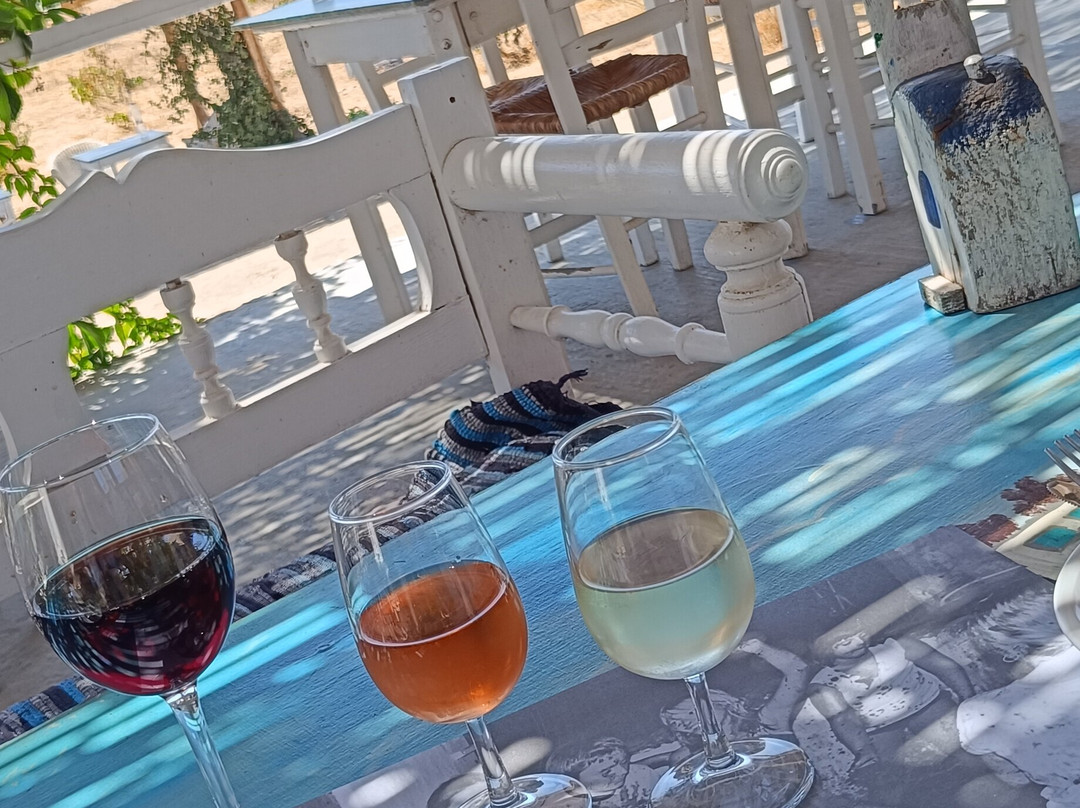Mykonos Vioma Organic Farm-阿诺梅拉村必去景点