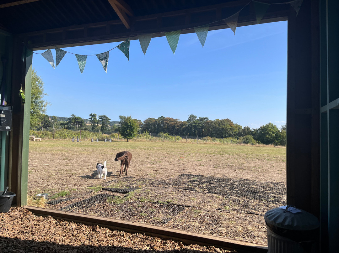 Seaview Dog Meadow-Wiveton必去景点