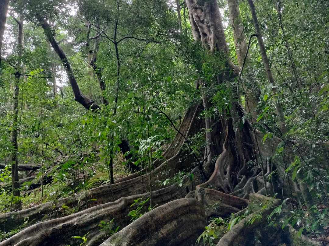 Parque Nacional Rincón de la Vieja-瓜纳卡斯特省必去景点