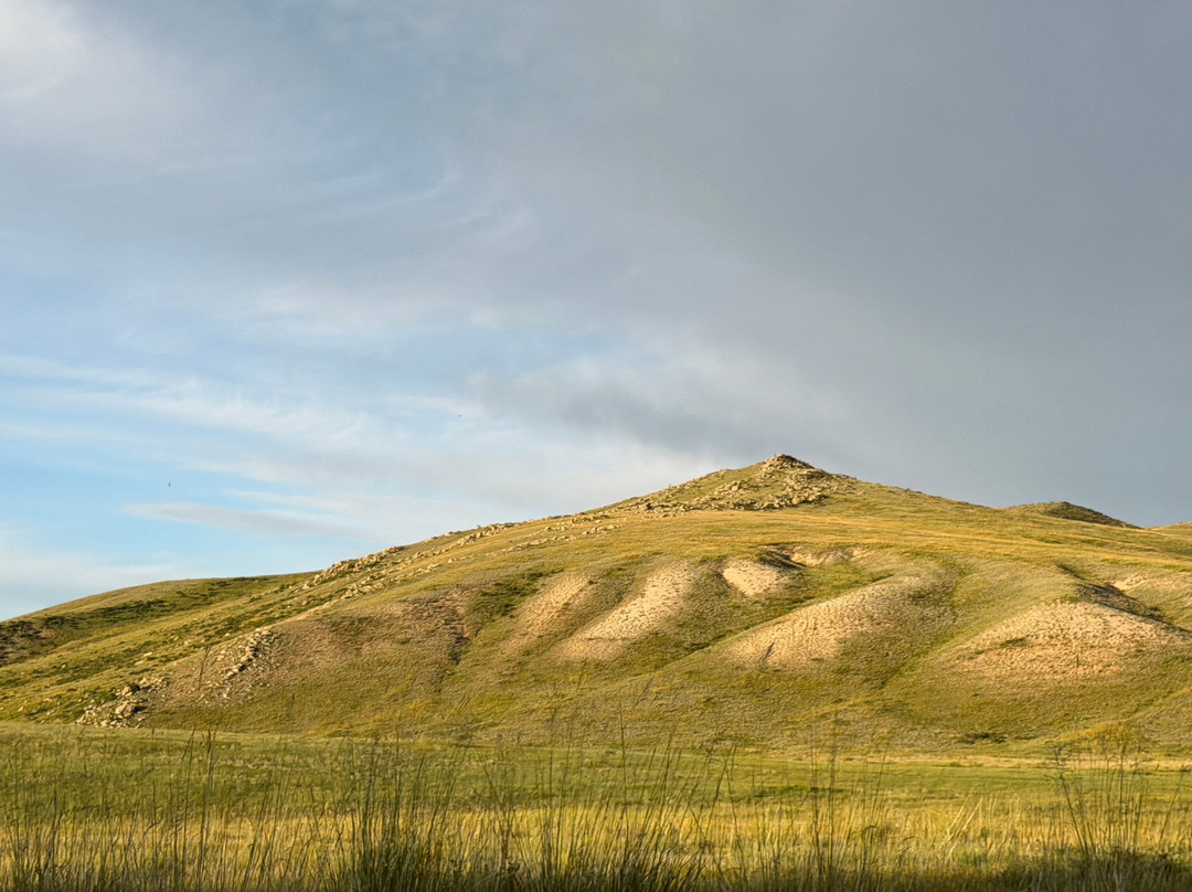Hustai National Park-乌兰巴托必去景点