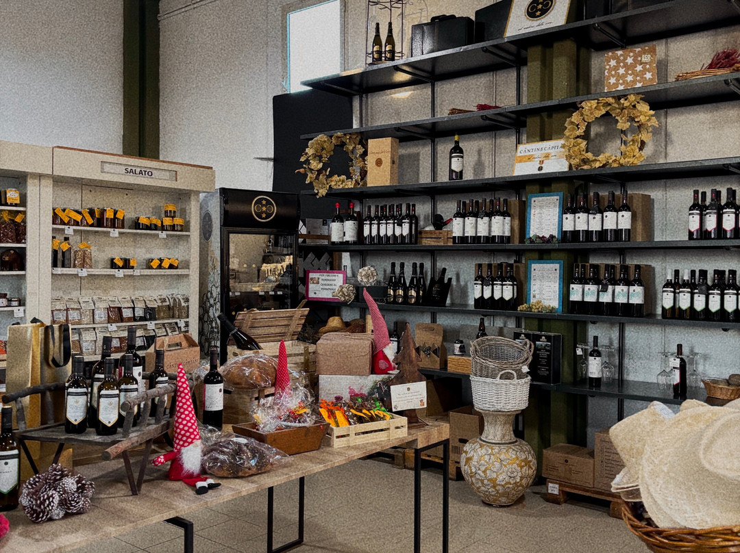 Cantine Capitani-Trevignano Romano必去景点