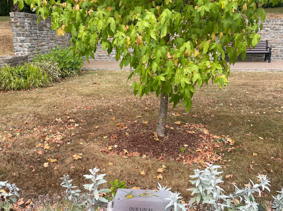 Aberfan Disaster Memorial Garden-Aberfan必去景点