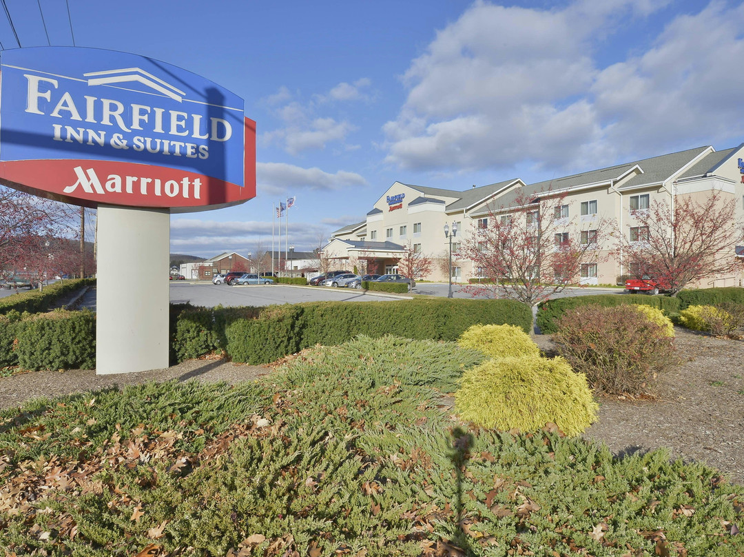 Cogan Station酒店住宿-Fairfield by Marriott Inn & Suites Williamsport