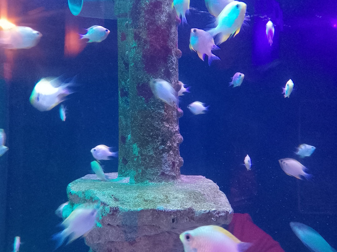 Sea Life Scarborough-斯卡伯勒必去景点