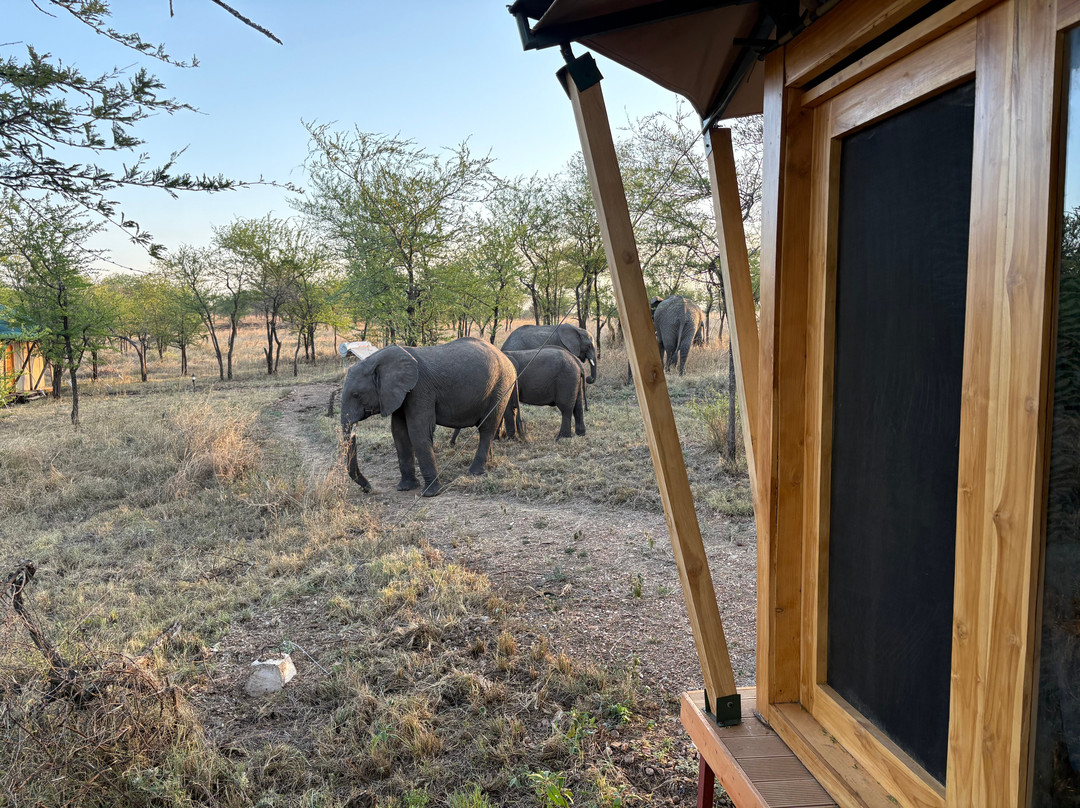 Kiriche Luxury Camps