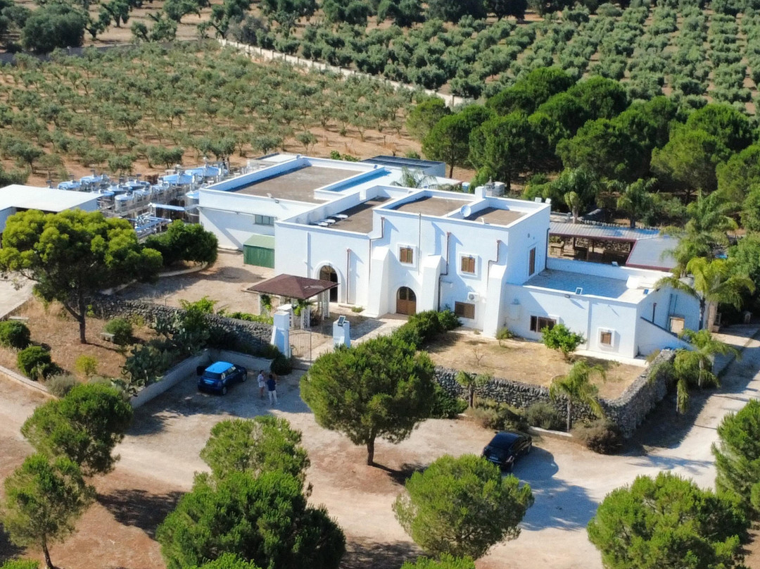 Trullo di Pezza-Torricella必去景点