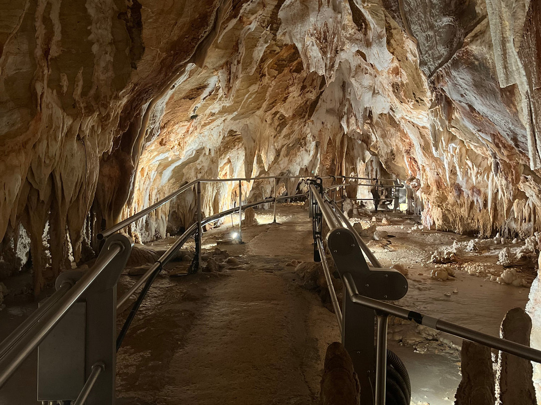 Grotte di Toirano-Toirano必去景点