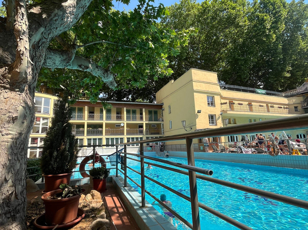 Lukacs Thermal Bath and Swimming Pool-布达佩斯必去景点