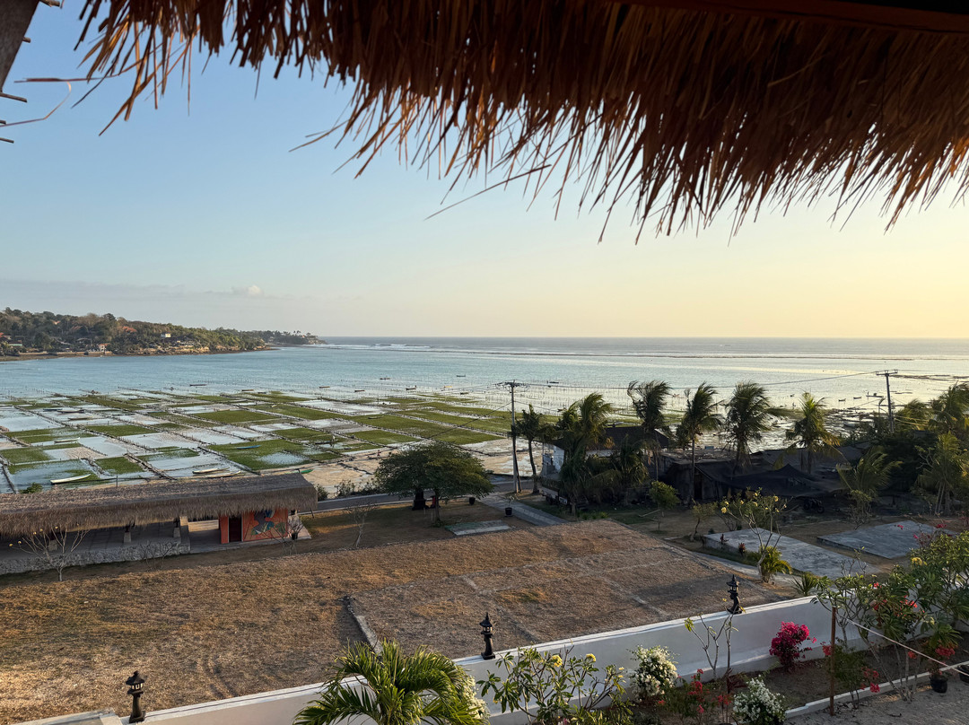 Nusa View - Hakuna Matata