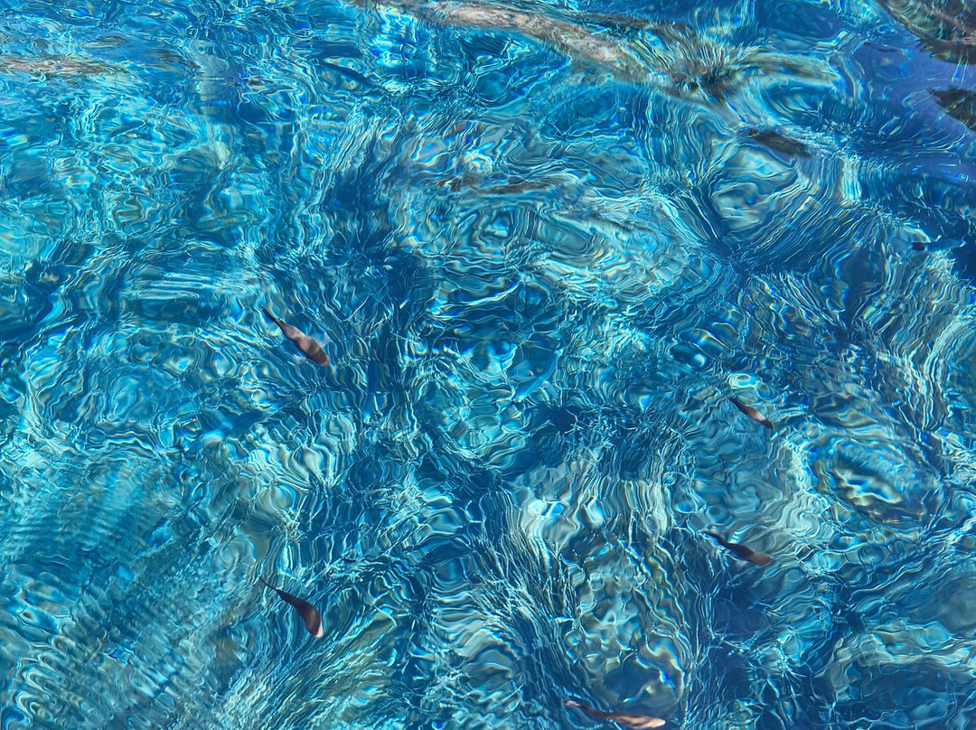 Maremma Escursioni-奥尔贝泰洛必去景点