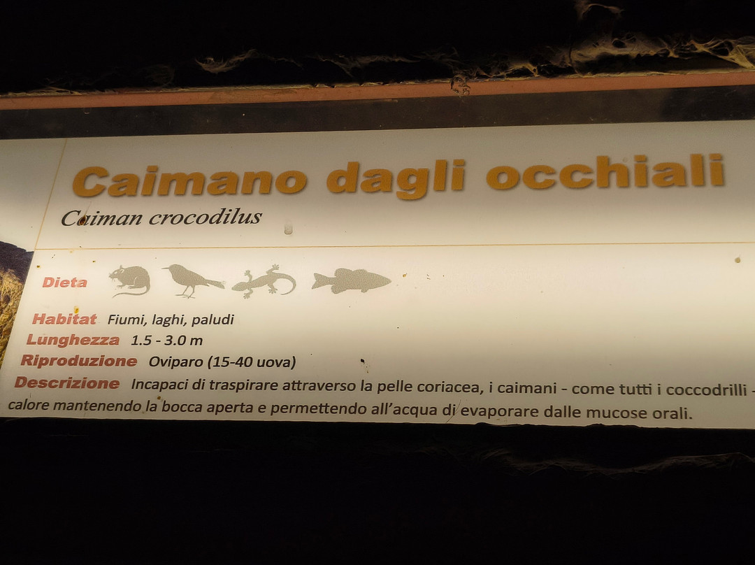 Città Della Domenica-佩鲁贾必去景点
