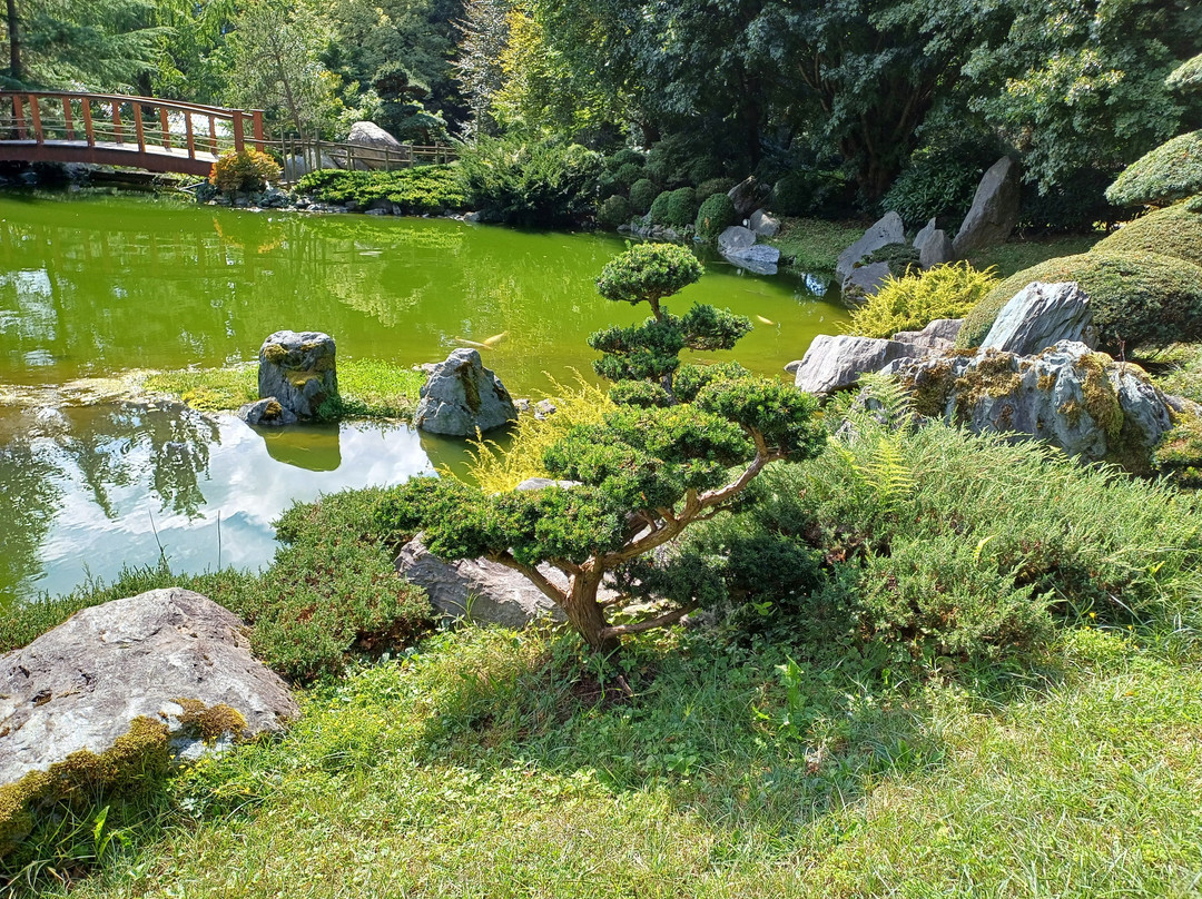 Bonsaimuseum-湖底城必去景点