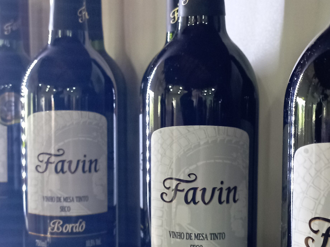 Vinicola Farina-Pinheiro Preto必去景点