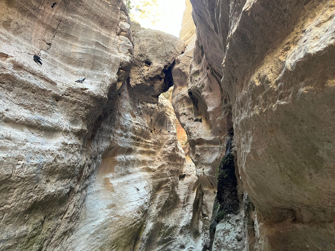 Avakas Gorge-帕福斯必去景点