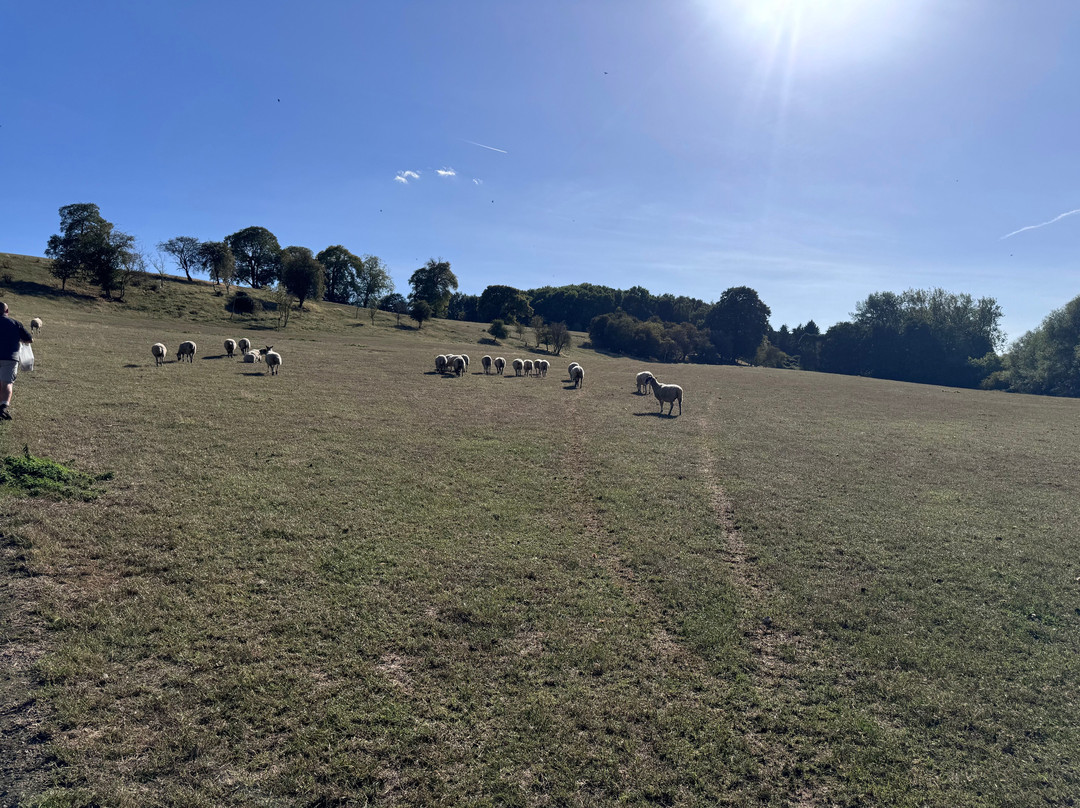 High Lodge Farm-罗契斯特必去景点