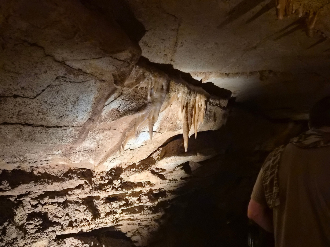 Indiana Caverns-Corydon必去景点