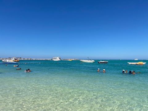 Triumph White Sands-旅行者