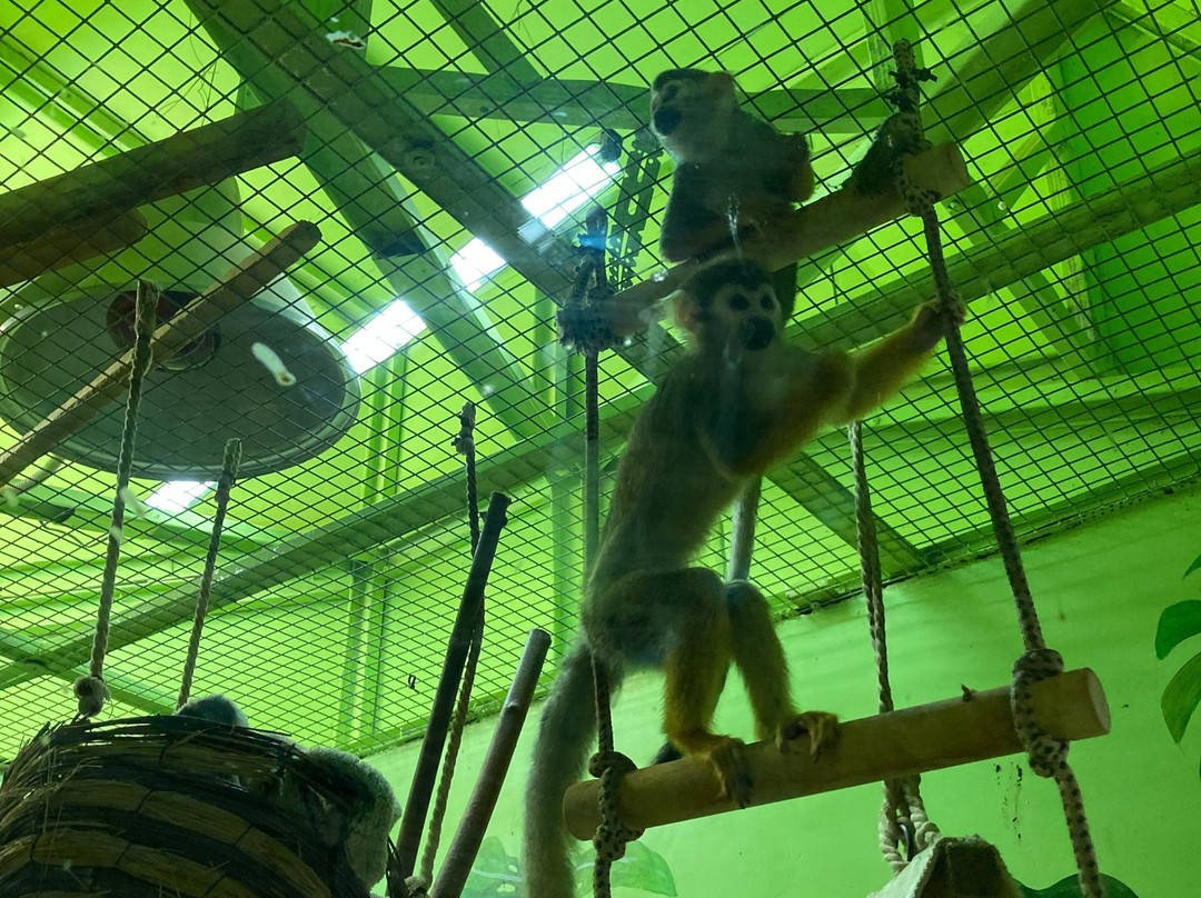Chelyabinsk Zoo-车里雅宾斯克必去景点