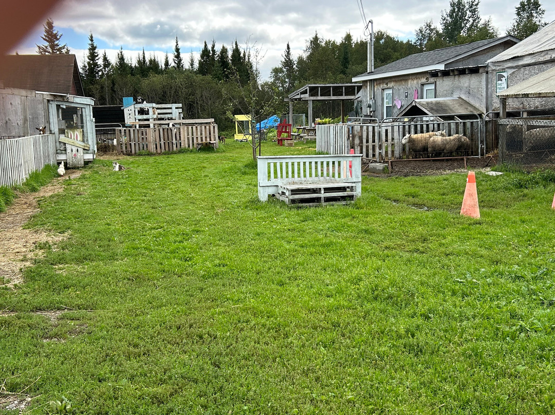 Robbins Family Farm-Deer Lake必去景点