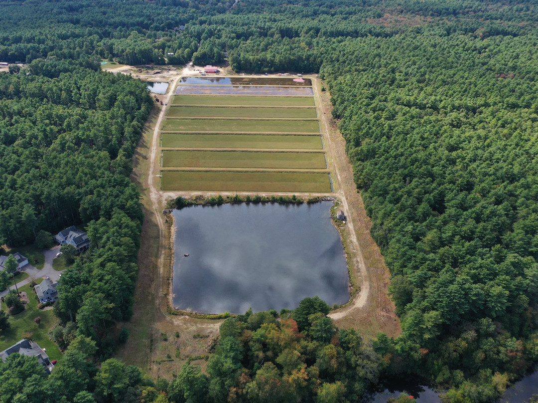Hartley Family Farm Cranberry Bog Tours-Rochester必去景点