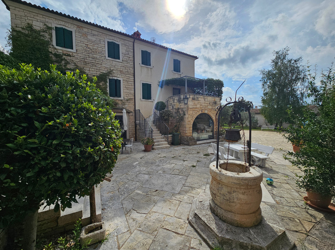 La Casa Di Matiki主图