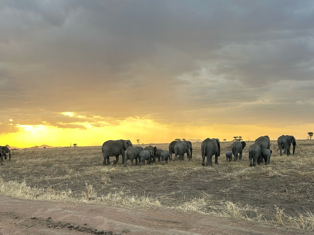 Tanzania Roadside Expeditions-阿鲁沙必去景点