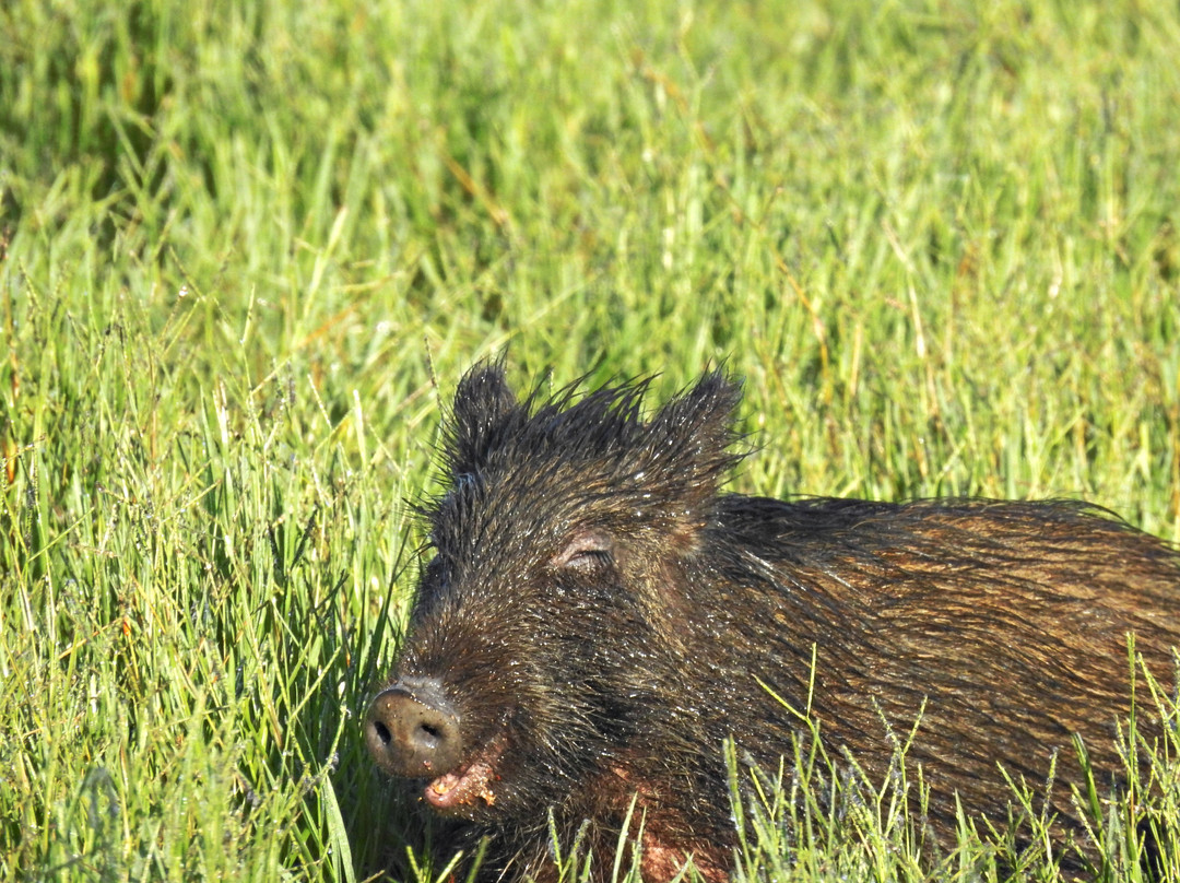 Percurso Salgueiral of Galicia Reserve-Santiago do Cacem必去景点