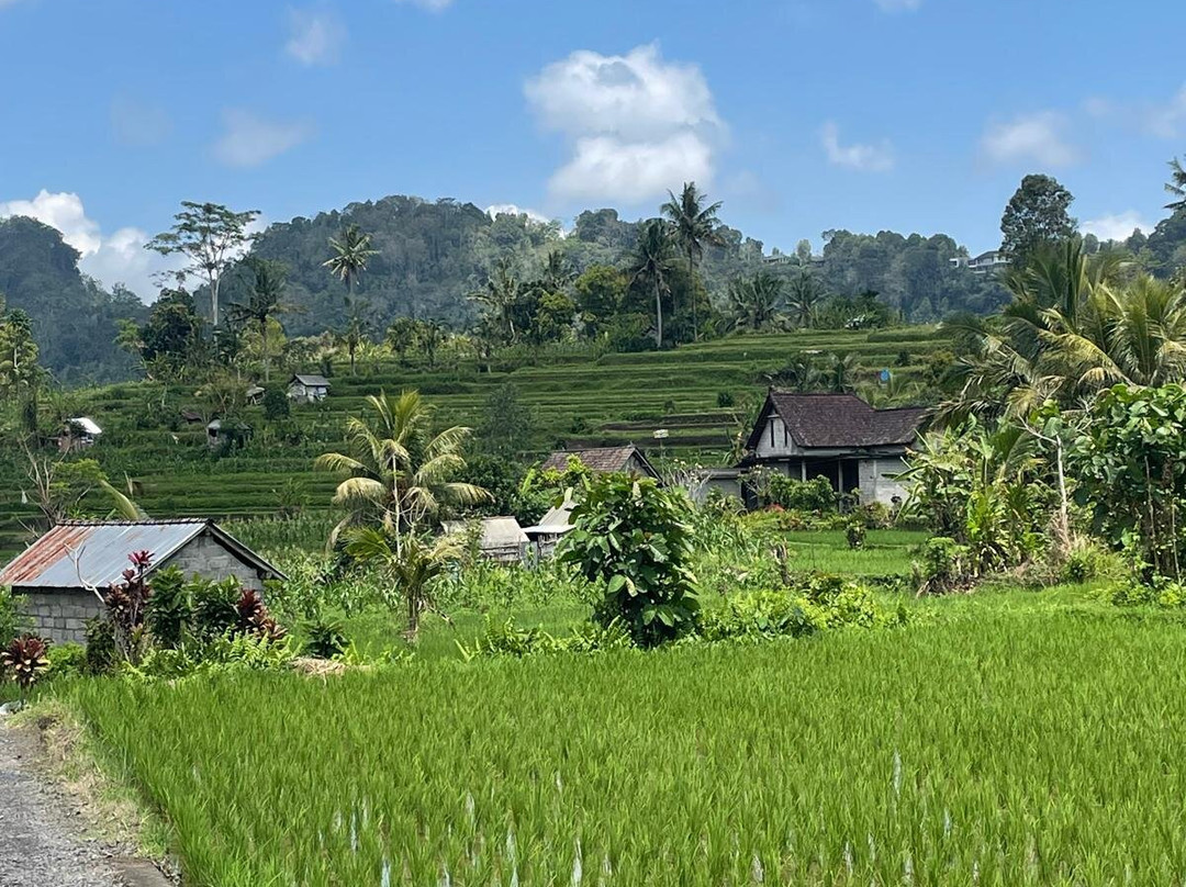 Sidemen Hidden Gems trekking-席德门必去景点
