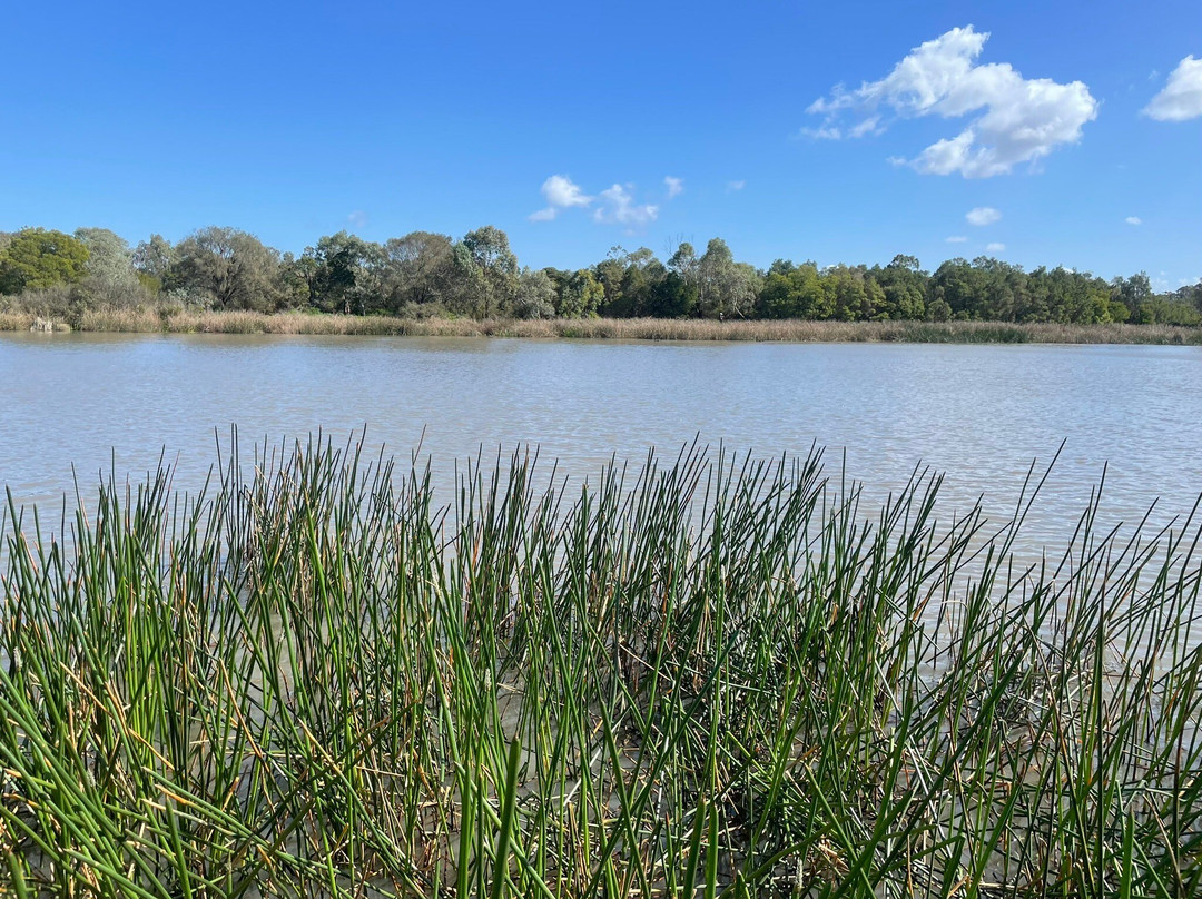 Berwick Springs Wetlands Reserve-伯威克必去景点