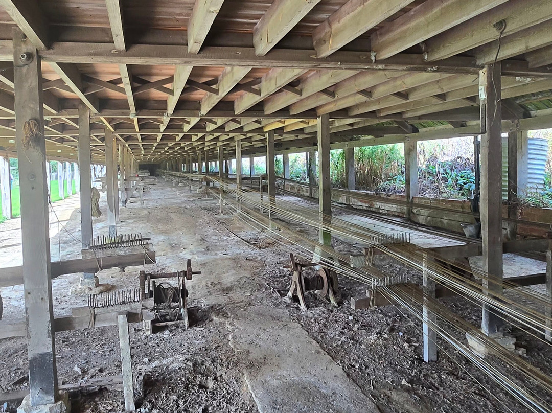Dawe's Twineworks-West Coker必去景点