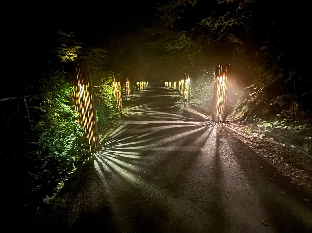 Foresta Lumina-Coaticook必去景点