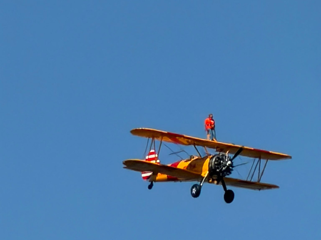 The Wing Walk Company-Headcorn必去景点