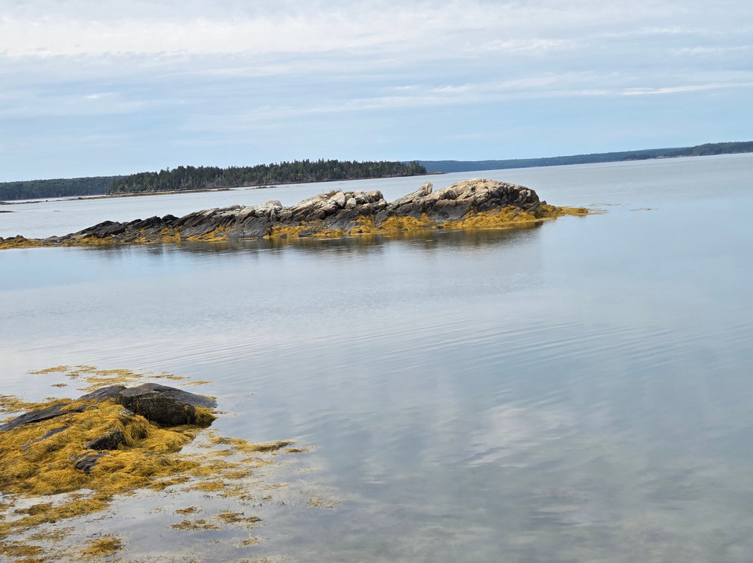 Indian Point Blagden Preserve-山漠岛必去景点