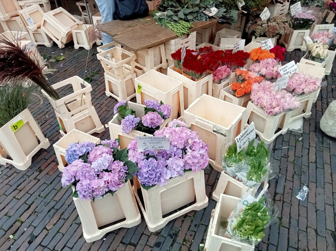 Zaterdagmarkt Haarlem-哈勒姆必去景点