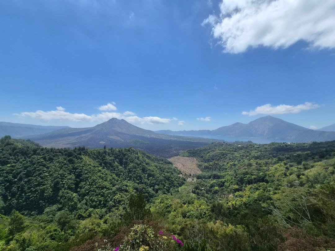 Bali Reiseleiter Fahrer-登巴萨必去景点