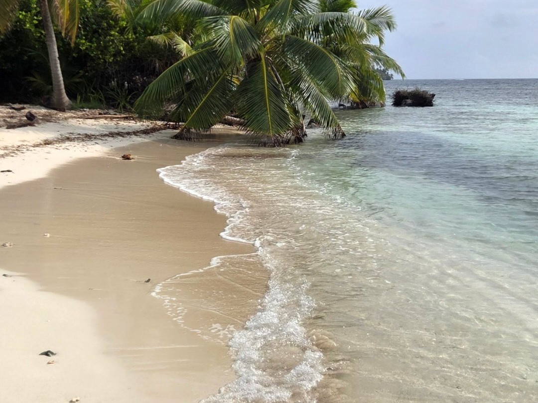 Sail Boat Trips & San Blas Catamarans-Carti Tupile必去景点