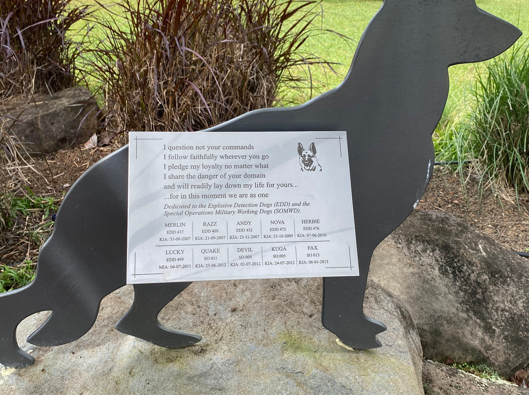 Yungaburra Platypus Viewing Platform-Yungaburra必去景点