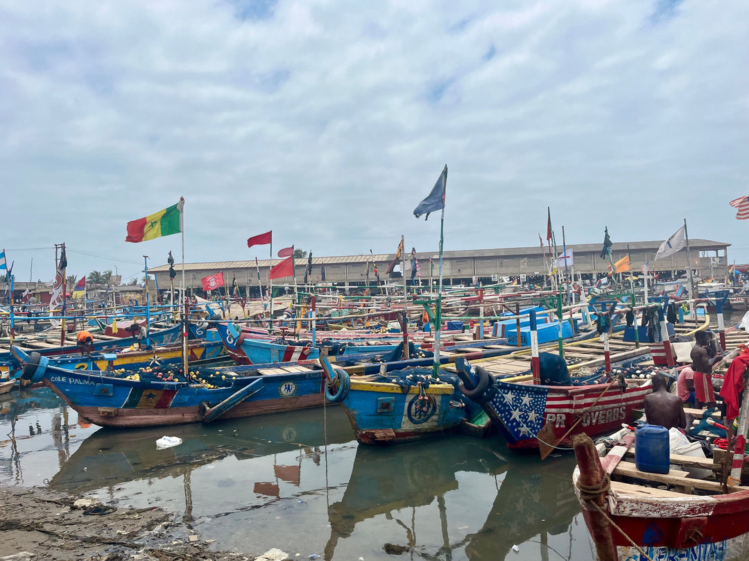 Elmina lagoon-Elmina必去景点
