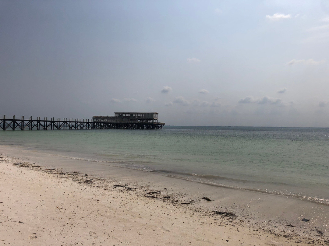 Michamvi Beach