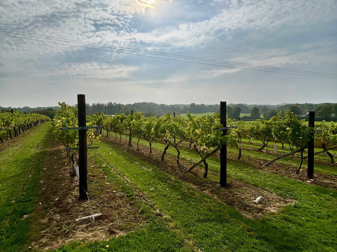 Biddenden Vineyards-Biddenden必去景点