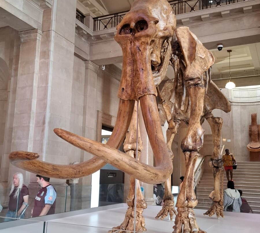 National Museum Cardiff-卡迪夫必去景点