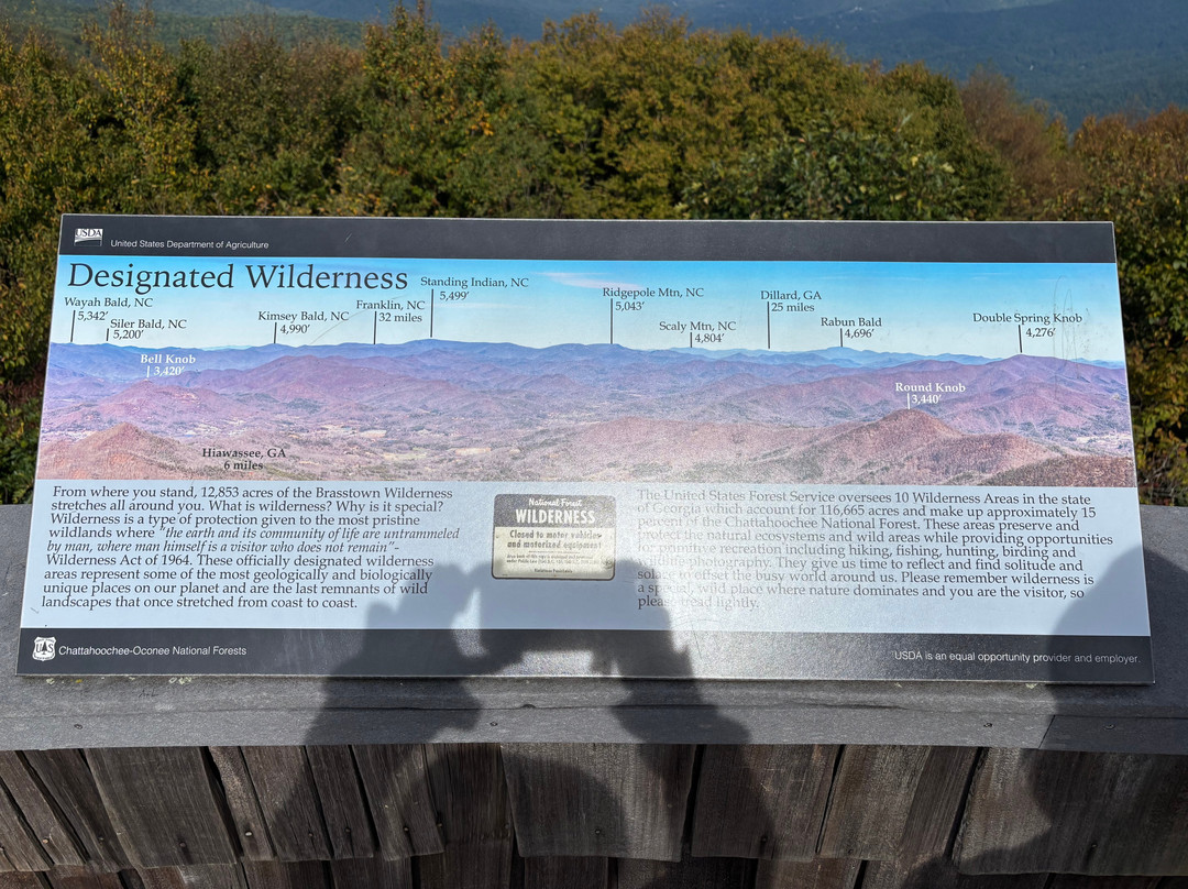 Brasstown Bald Mountain-Blairsville必去景点