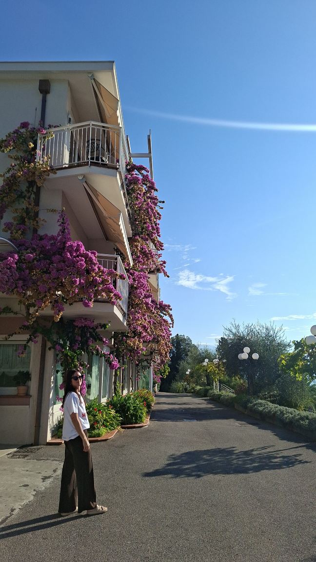 佛罗里达别墅酒店-旅行者