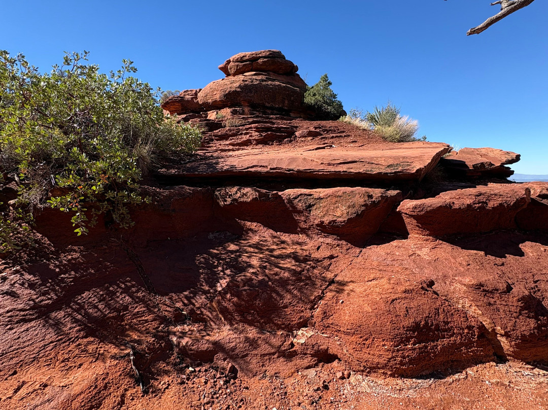 Arizona Safari Jeep Tours-塞多纳必去景点
