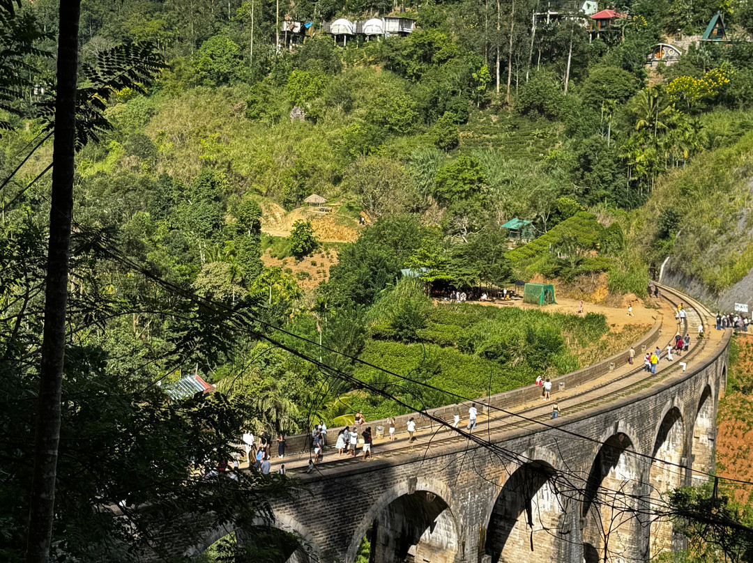 Nanuoya to Ella Train Ride-Nanu Oya必去景点