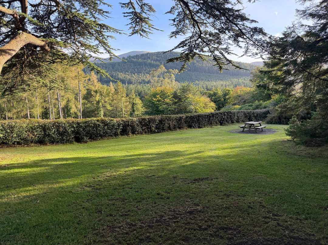 Tollymore Forest Park-纽卡斯尔必去景点