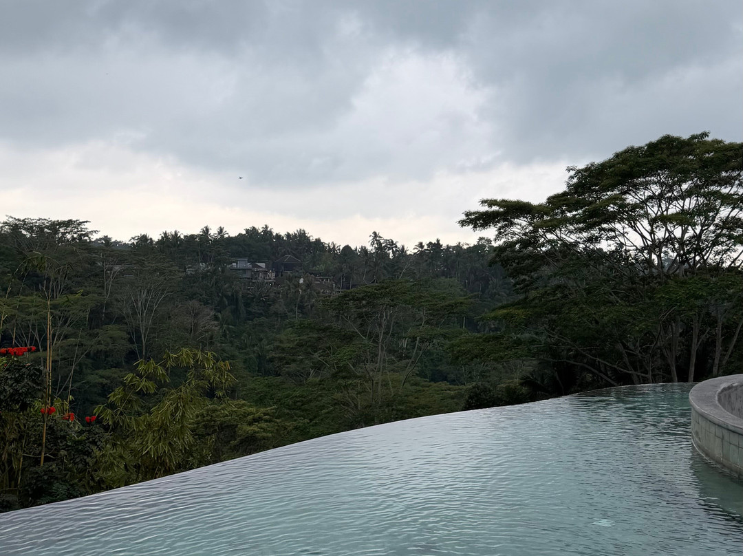 Wanna Jungle Pool and Bar-佩艳艮必去景点